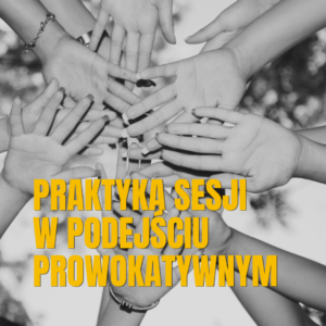 PRAKTYKA PROWADZENIA SESJI w podejściu prowokatywnym